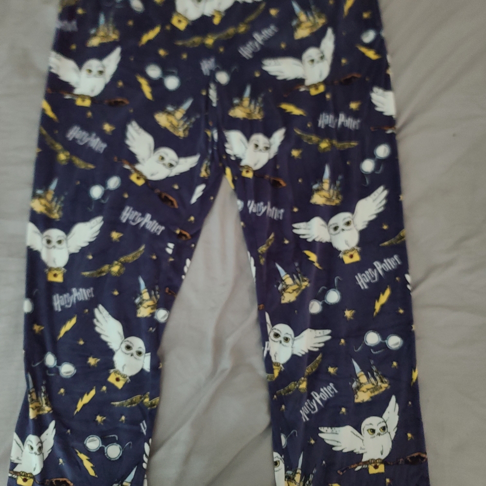 Warner Bros. Harry Potter Sleepwear in Dark Iris and Cream